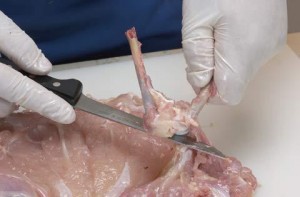 ثم بعد تخليص اللحم نفصل الغظمة عن اللحم وهكذا نكرر العملية مع عظمة الكتف الأخر